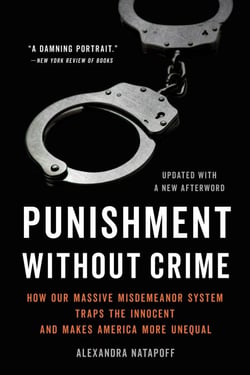 Punishment Without Crime - How Our Massive Misdemeanor System Traps the Innocent and Makes America More Unequal