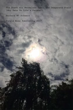 The Fresh Air Marmalade Quell The Desperate Staid (Why Rain On Life's Parade?)