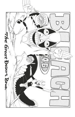 Bleach - T28 - Chapitre 246 - The Great Desert Bros.