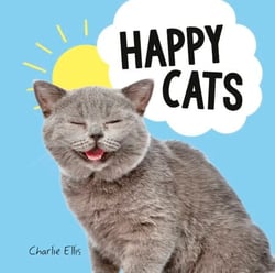 Happy Cats - Photos of Felines Feeling Fab