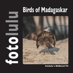 Birds of Madagaskar - fotolulus Bildband VII