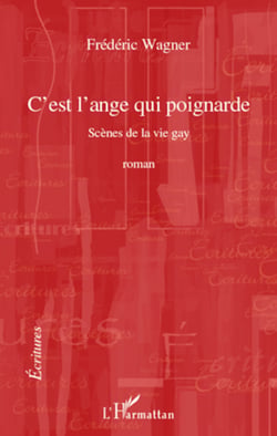 C'est l'ange qui poignarde - Scènes de la vie gay - Roman