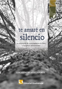 Te amaré en silencio - Tu intimidad de contemplativo de Dios y receptivo del hermano