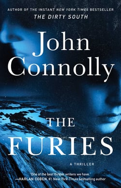 The Furies - A Thriller