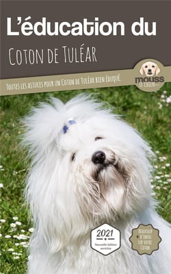L'éducation du Coton de Tuléar : toutes les astuces pour un Coton de Tuléar bien éduqué