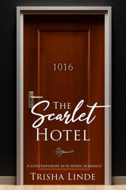 Room 1016 - The Scarlet Hotel, #2