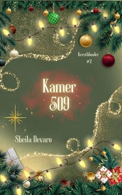 Kamer 509 - Kerstblunder, #2
