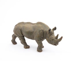 Rhinocéros noir - PAPO - 50066