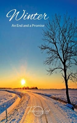 Winter, An End and a Promise - The Seasons, #3