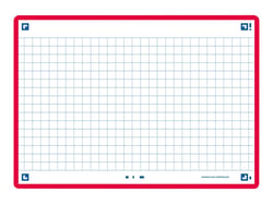 80 flashcards - 10,5 x 14,8 cm - Flash 2.0 Oxford - Petits carreaux - cadre rouge
