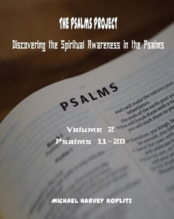 The Psalms Project Volume Two Discovering the Spiritual World through the Psalms – Psalm 11 to 20 - Psalms Project, #2