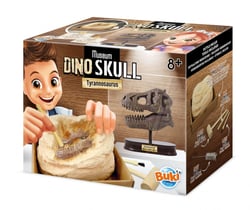 MUSEUM SKULL T-REX