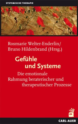 Gefühle und Systeme - Die emotionale Rahmung beraterischer und therapeutischer Prozesse
