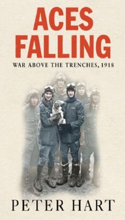 Aces Falling - War Above The Trenches, 1918