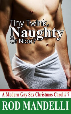 Tiny Twink, Naughty or Nice? - A Modern Gay Sex Christmas Carol, #7