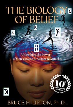 The Biology of Belief 10th Anniversary Edition - Unleashing the Power of Consciousness, Matter, and Miracles