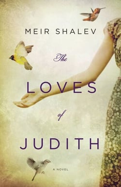 The Loves of Judith - A Novel