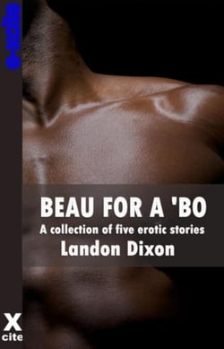 Beau For A Bo - A collection of gay erotic stories