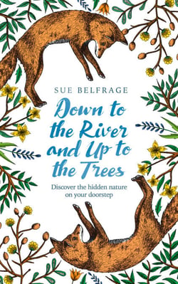 Down to the River and Up to the Trees - Discover the hidden nature on your doorstep