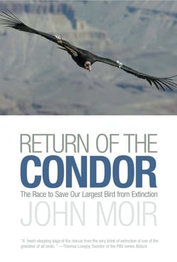 Return of the Condor - The Race to Save Our Largest Bird from Extinction