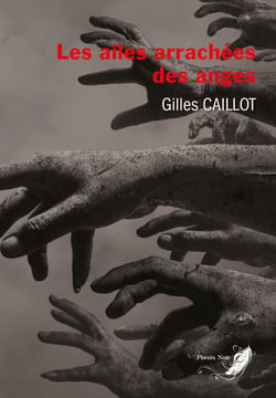 Le cycle du mal: Tome 4 - Les ailes arrachées des anges