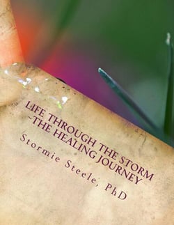 Life Through The Storm ~The Healing Journey - Life Through The Storm, #1