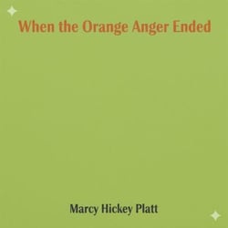 When the Orange Anger Ended