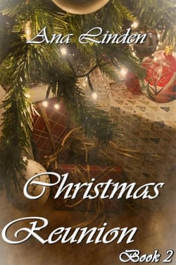 Christmas Reunion - Book 2 - Christmas Reunion, #2