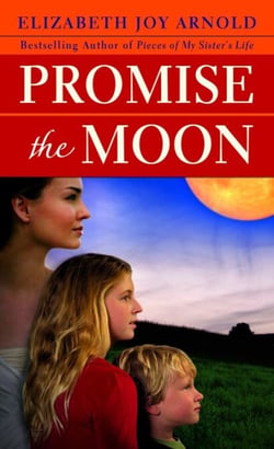 Promise the Moon - A Novel