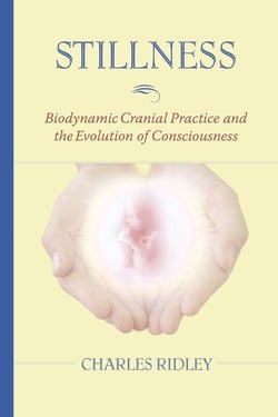Stillness - Biodynamic Cranial Practice and the Evolution of Consciousness