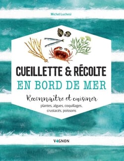 Cueillette &amp; récolte en bord de mer - Reconnaître et cuisiner