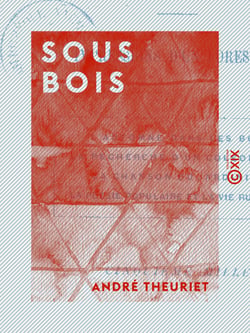 Sous bois - Impressions d'un forestier