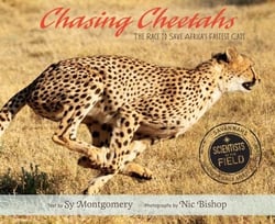 Chasing Cheetahs - The Race to Save Africa's Fastest Cat