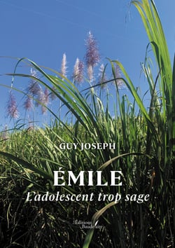 Émile - L’adolescent trop sage