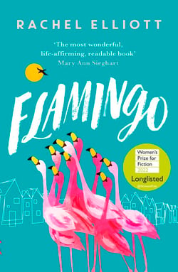 Flamingo - Longlisted for the Women's Prize for Fiction 2022, an exquisite novel of kindness and hope