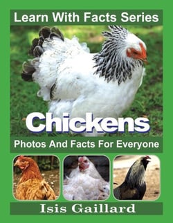 Chickens Photos and Facts for Everyone - Learn With Facts Series, #78