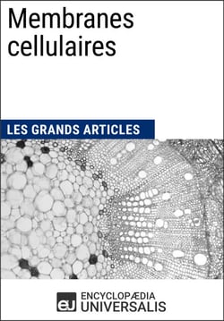 Membranes cellulaires - Les Grands Articles d'Universalis