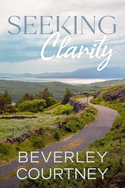 Seeking Clarity: A Women’s Fiction Novel of Children, Career, and Creativity - Dilemmas and Discovery, #2