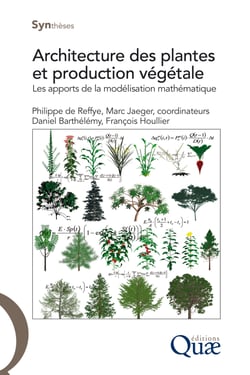 Architecture des plantes et production végétale - Les apports de la modélisation mathématique
