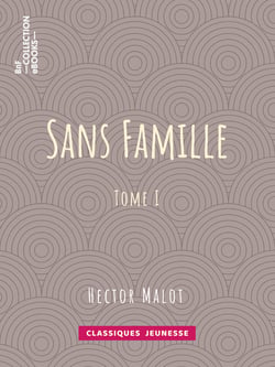 Sans famille - Tome I