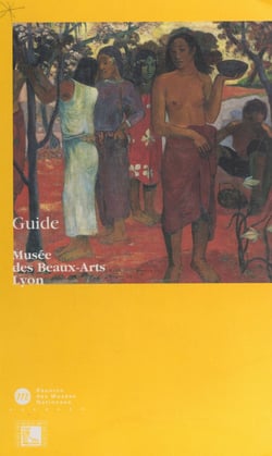 Musée des Beaux-Arts de Lyon - Guide