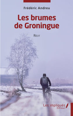 Les brumes de Groningue - Récit