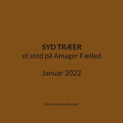 Syd Træer - et sted på Amager Fælled Januar 2022