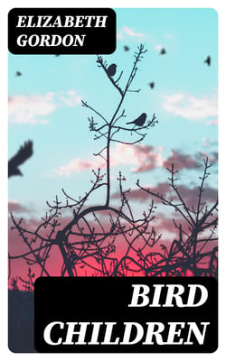 Bird Children - The Little Playmates of the Flower Children