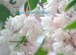 Voyager à travers les fleurs - Photographie de fleurs