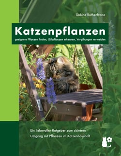 Katzenpflanzen - geeignete Pflanzen finden, Giftpflanzen erkennen, Vergiftungen vermeiden