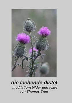 Die lachende Distel - Meditationsbilder und Texte