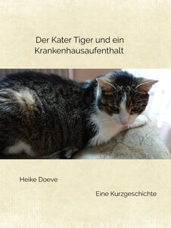 Der Kater Tiger und ein Krankenhausaufenthalt