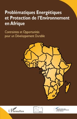 Problématiques Energétiques et Protection de l'Environnement en Afrique - Contraintes et Opportunités pour un Développement Durable