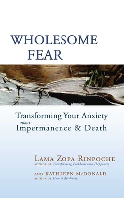 Wholesome Fear - Transforming Your Anxiety About Impermanence and Death